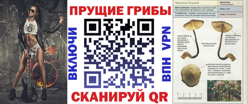 Галлюциногенные грибы Psilocybine cubensis  Краснознаменск 